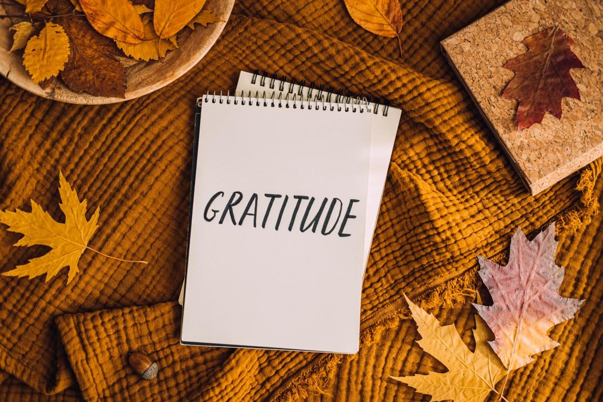 how-to-practice-gratitude-writing-autumn-fall-gra-2023-11-27-05-00-19-utc (1)