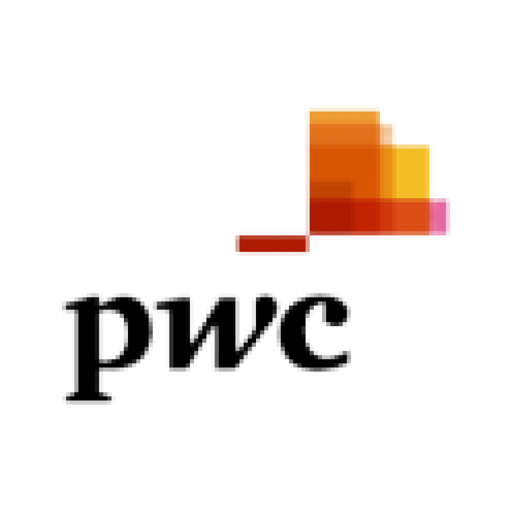 PWC-300x124-removebg-preview